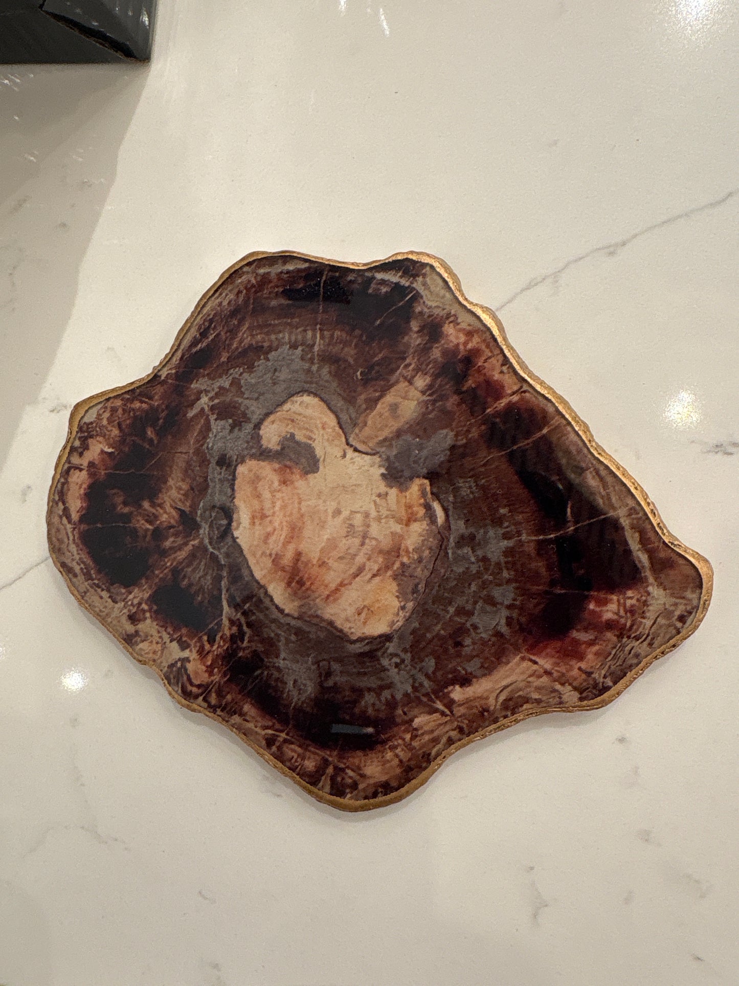 Fossil Coaster in Multi (set of 4)