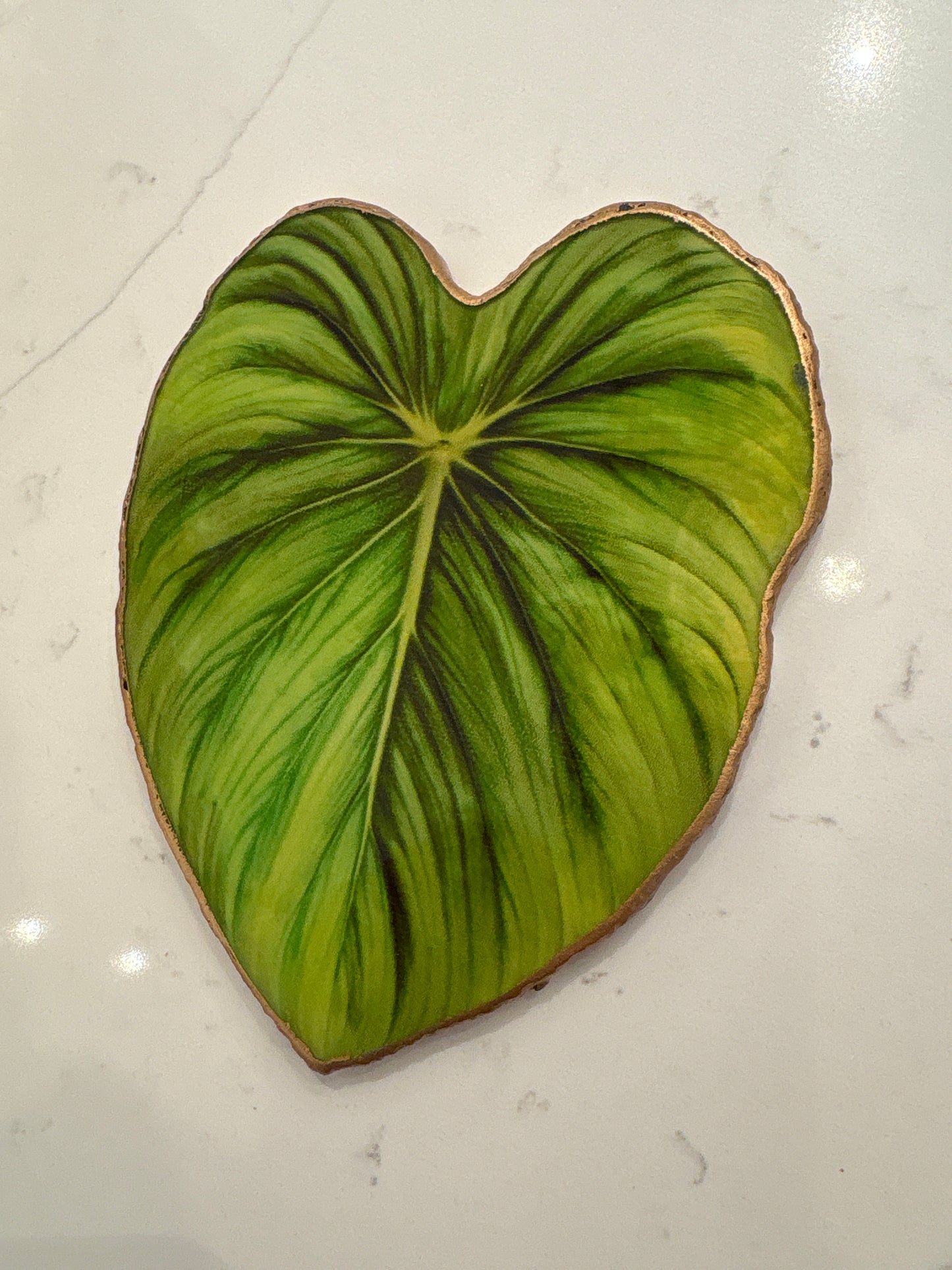 Tropicana Coaster in Green (set of 4)