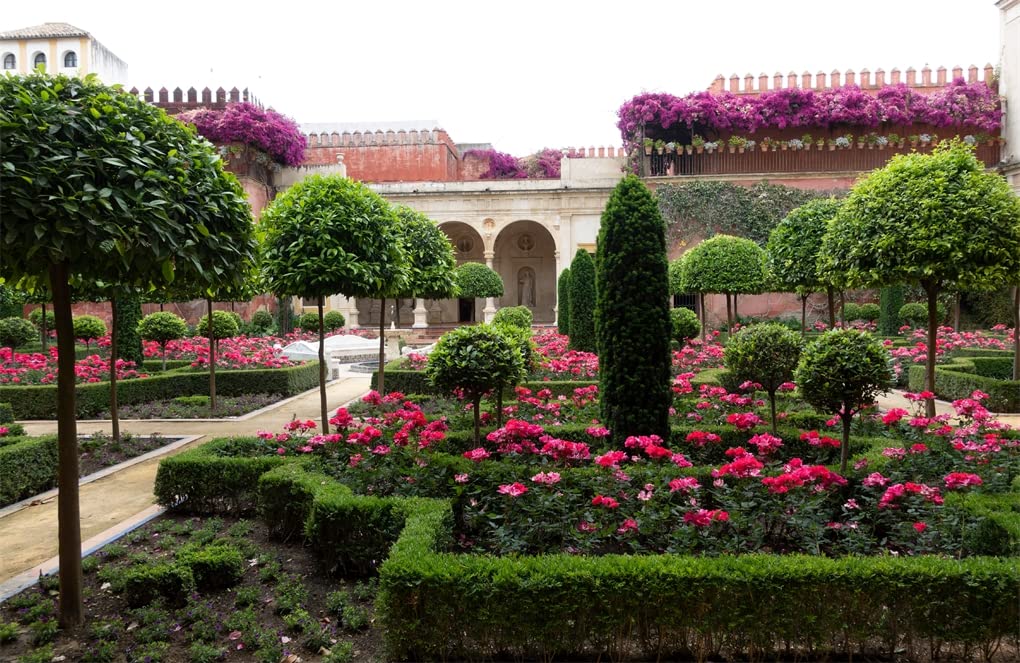 "Forever Green: A Celebration of Nature’s Most Prominent Color" Book