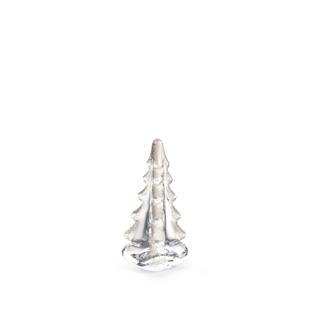 Snowy Branches Evergreen in Gift Box - 4 inch