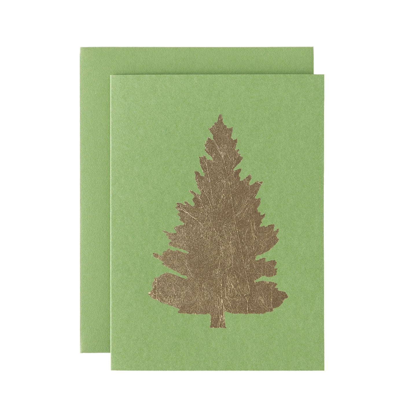 Grass Green Fir Tree Card