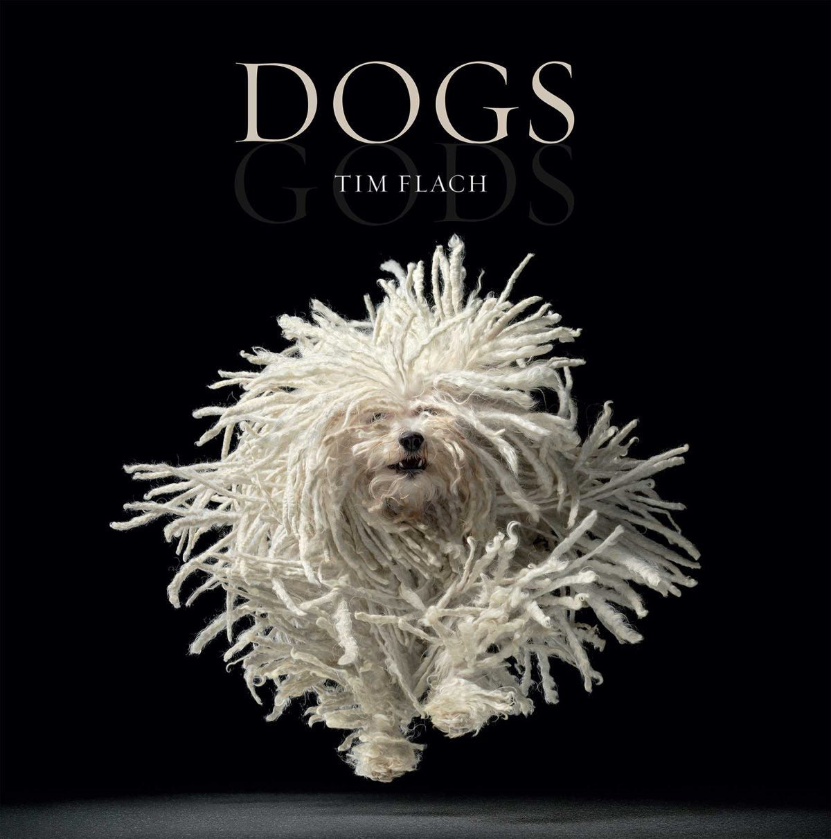 "Dogs" by Tim Flach