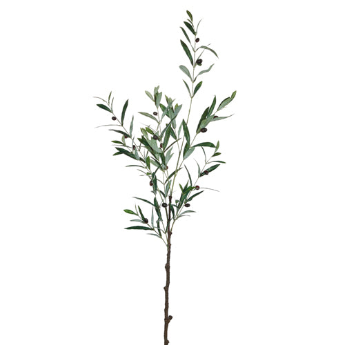 48.5" Olive Leaf Branch