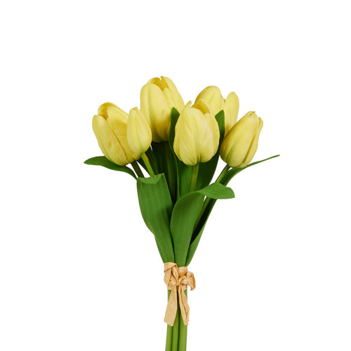 12" Yellow Tulip Bundle