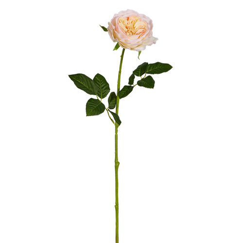 25" Real Touch Peach Rose Stem