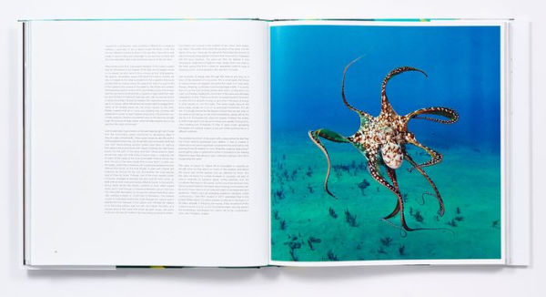 "The Life & Love of The Sea" by Lewis Blackwell