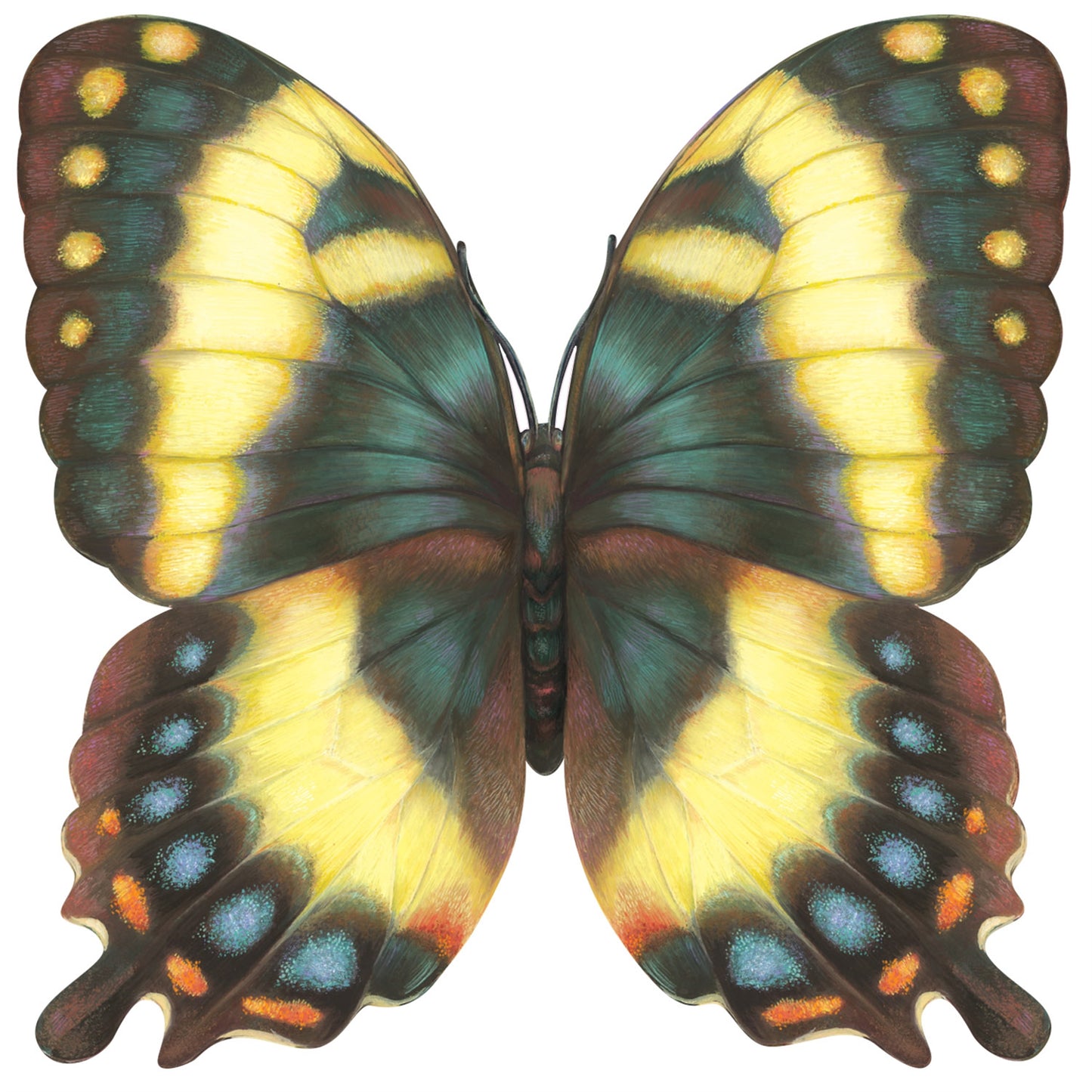 Die-cut Butterfly Placemat - 12 Sheets