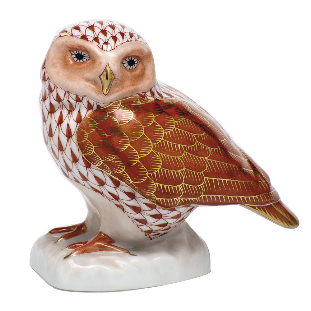 Burrowing Owl — Rust