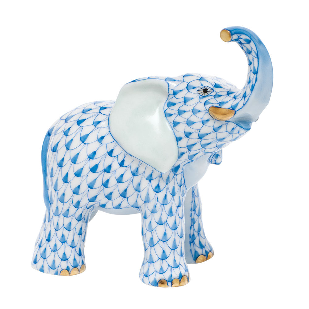 Young Elephant — Blue