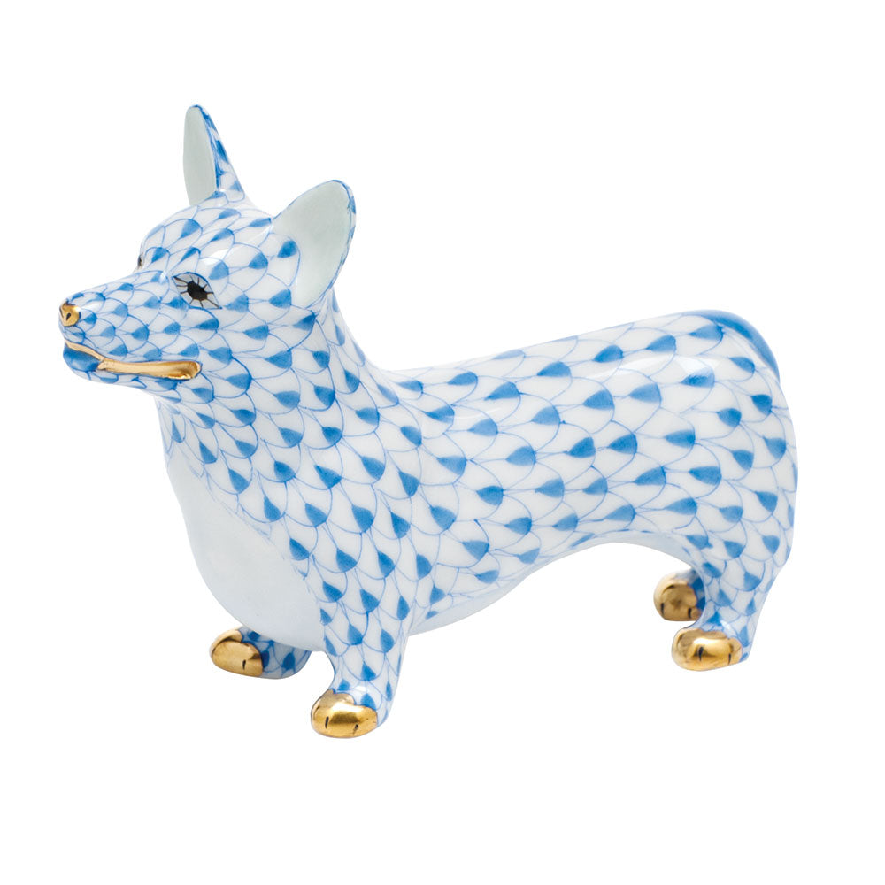 Corgi — Blue