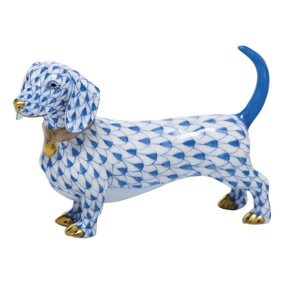Dachshund — Blue