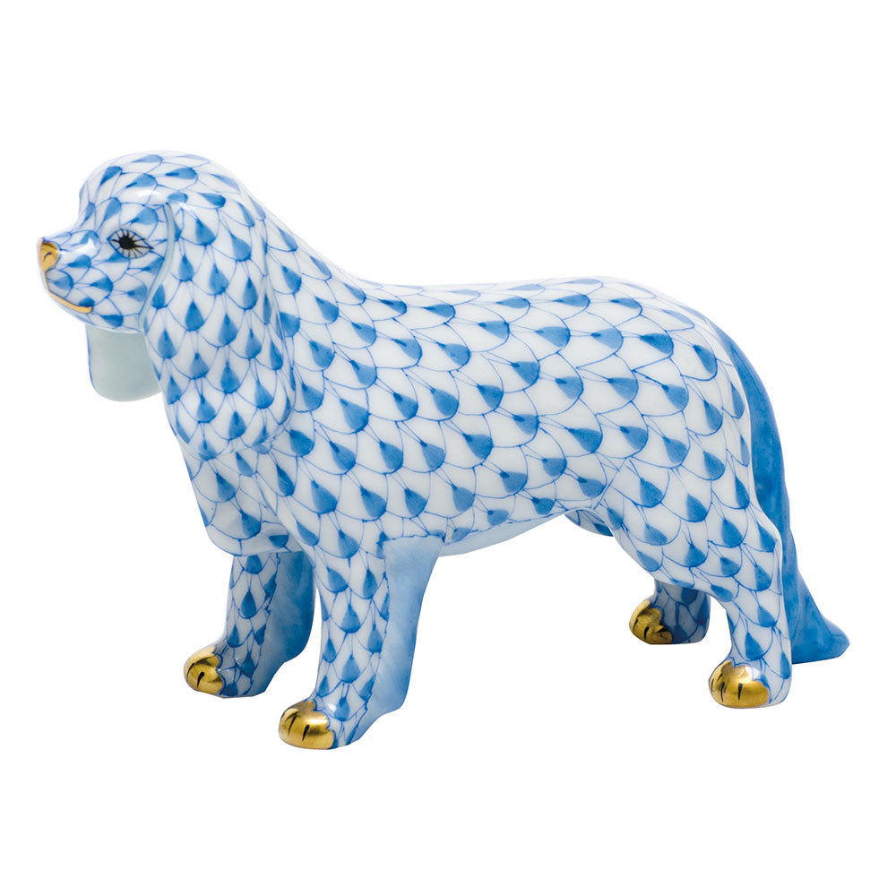 Cavalier King Charles Spaniel — Blue
