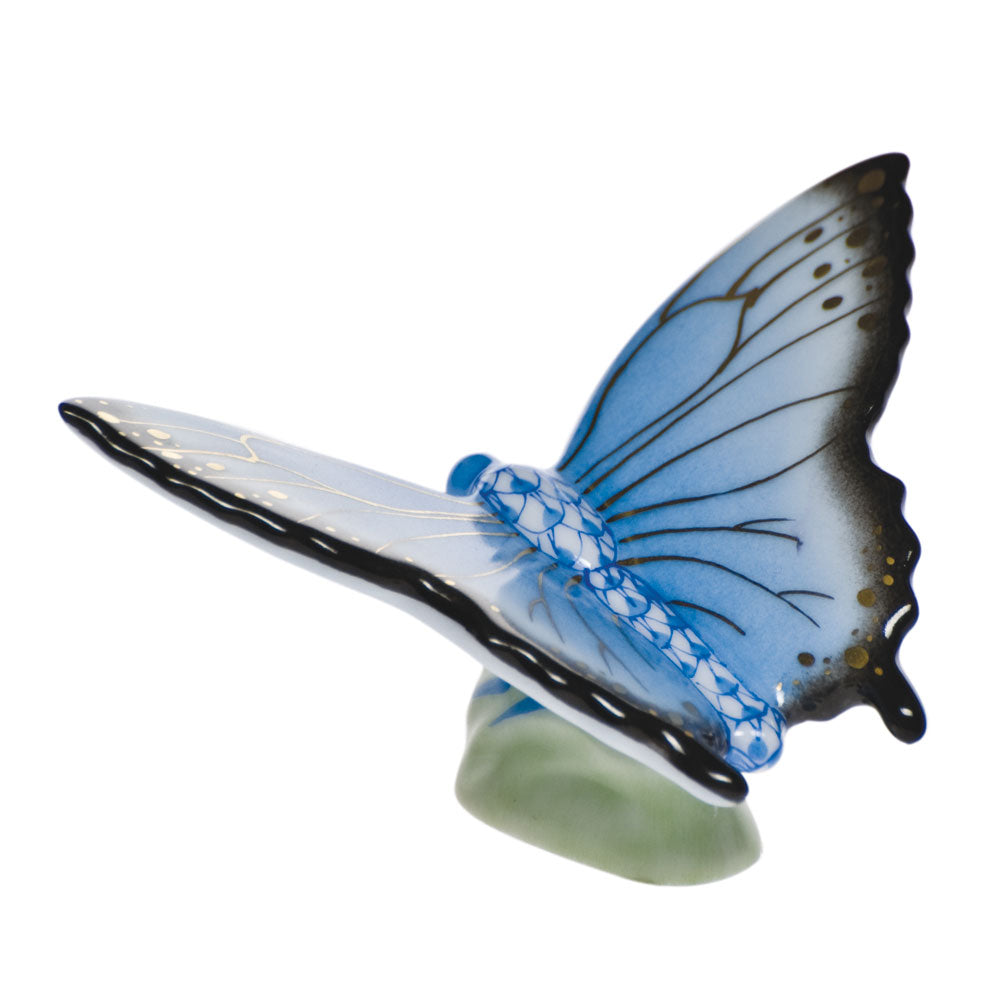 Butterfly — Blue