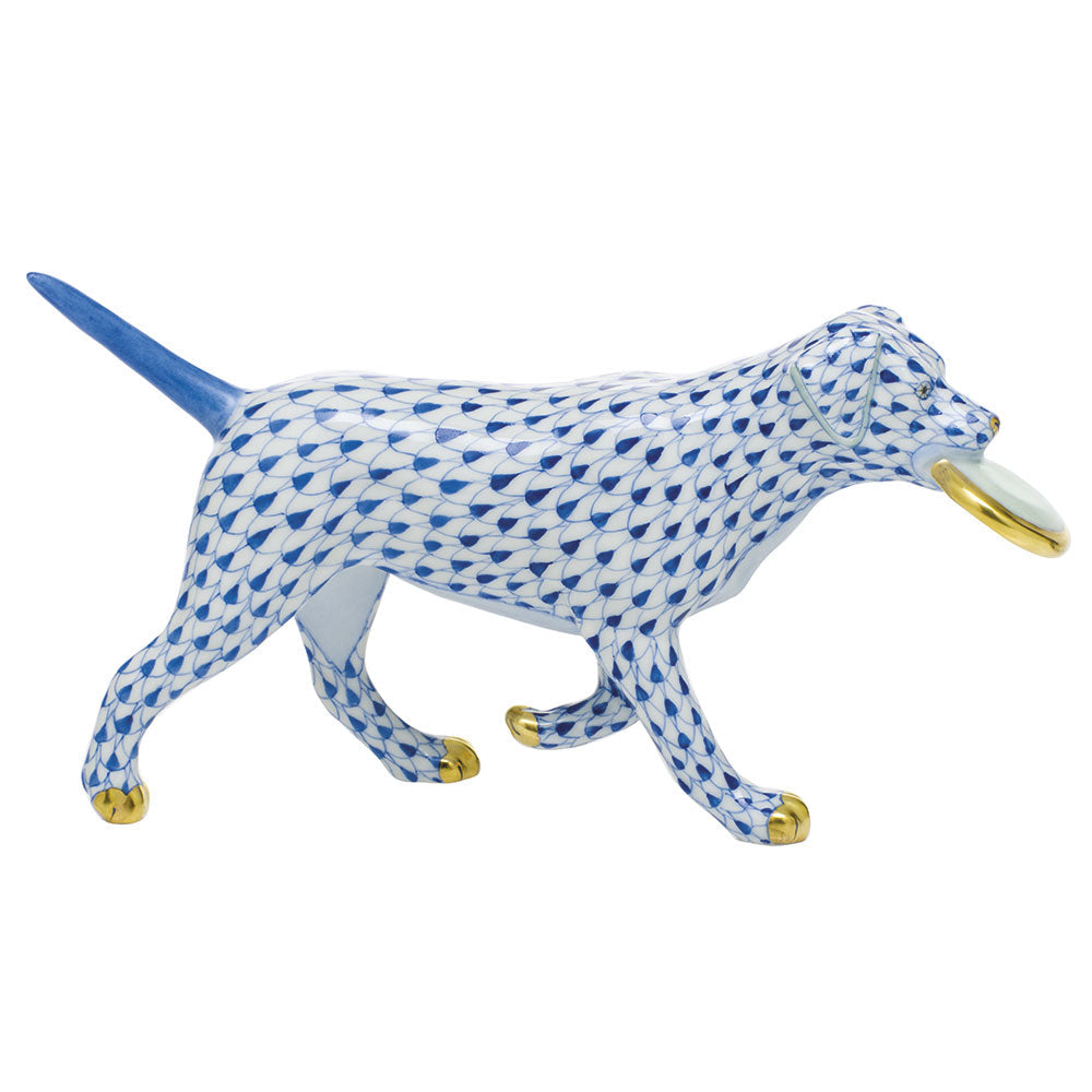Frisbee Dog — Sapphire