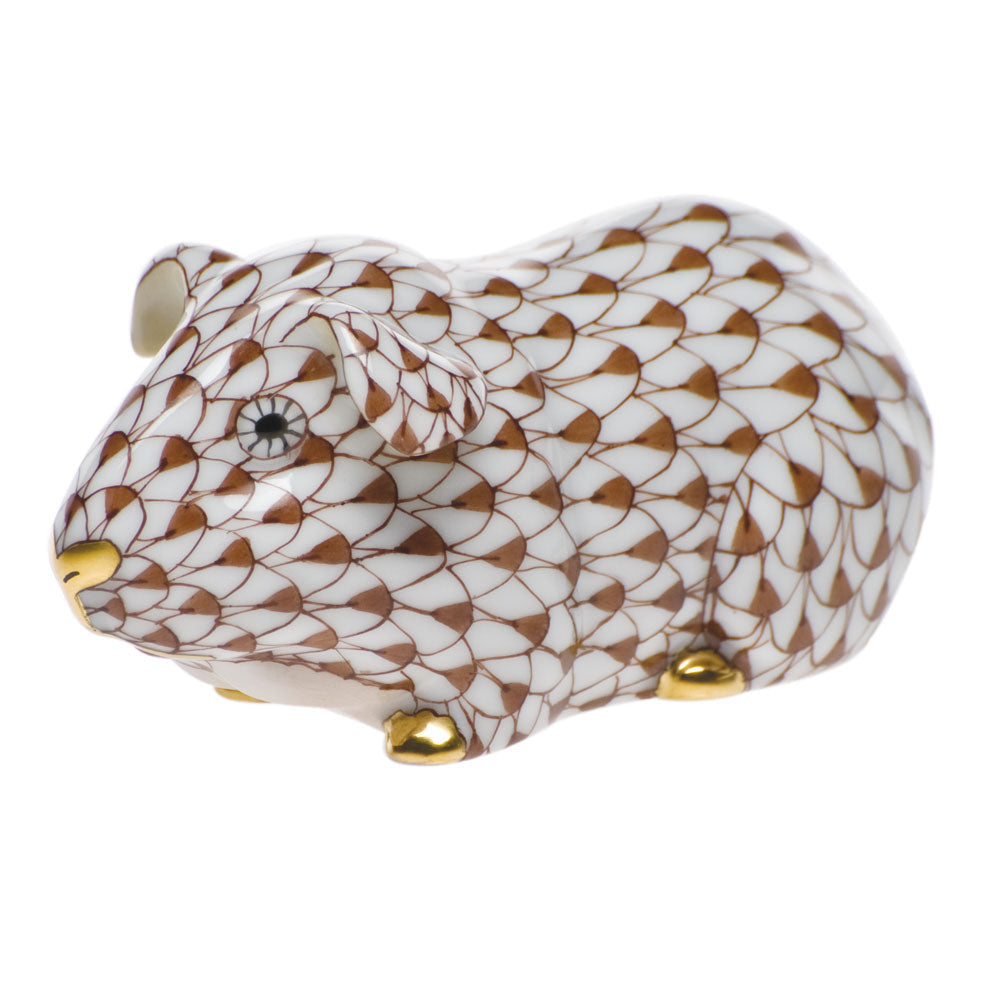 Guinea Pig — Chocolate