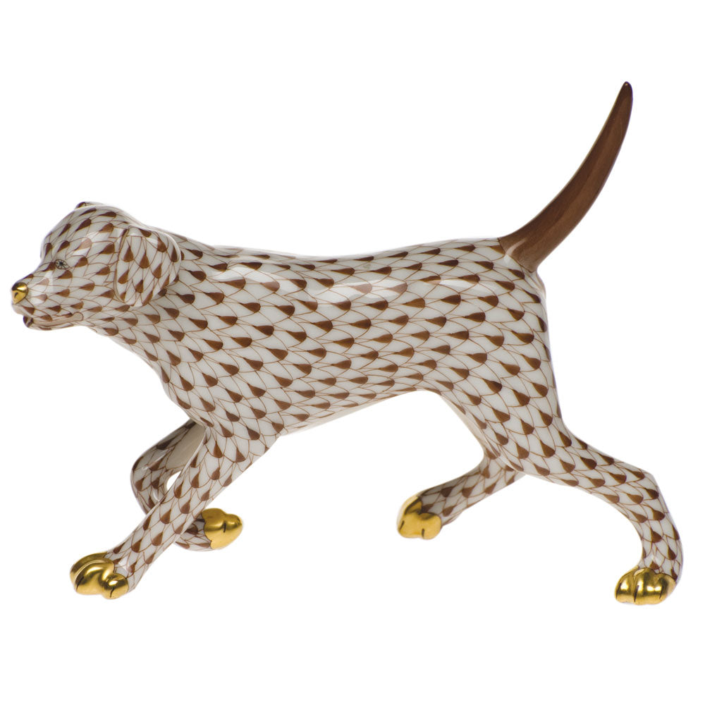 Labrador Walking — Chocolate