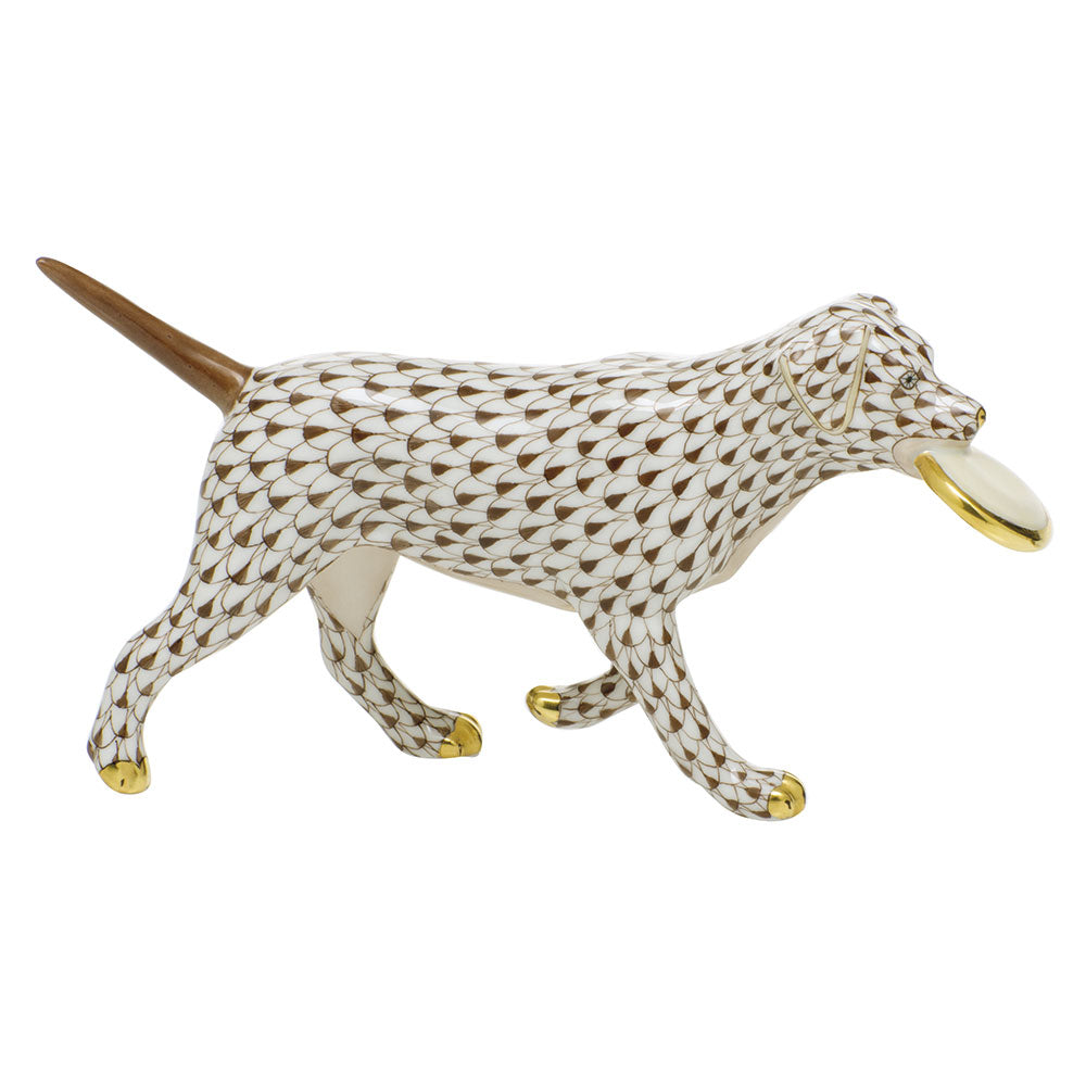 Frisbee Dog — Chocolate