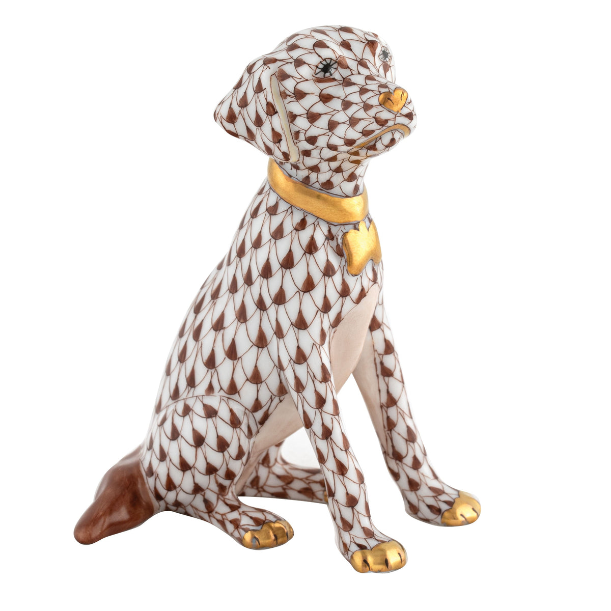 Young Golden — Chocolate