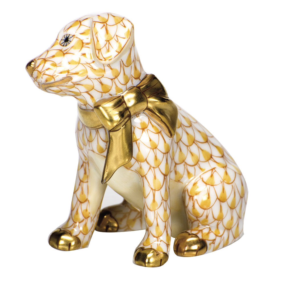 Doggie Dazzle — Butterscotch