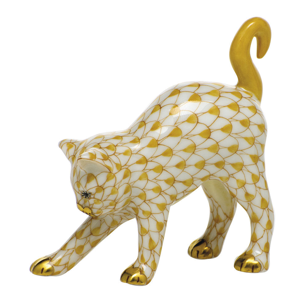 Arched Cat — Butterscotch