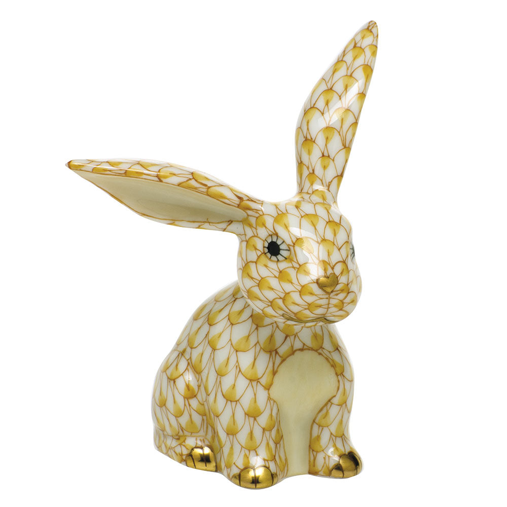 Funny Bunny — Butterscotch