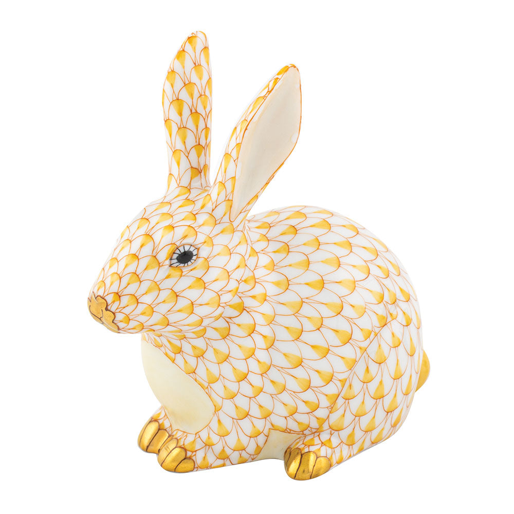 Chubby Bunny — Butterscotch