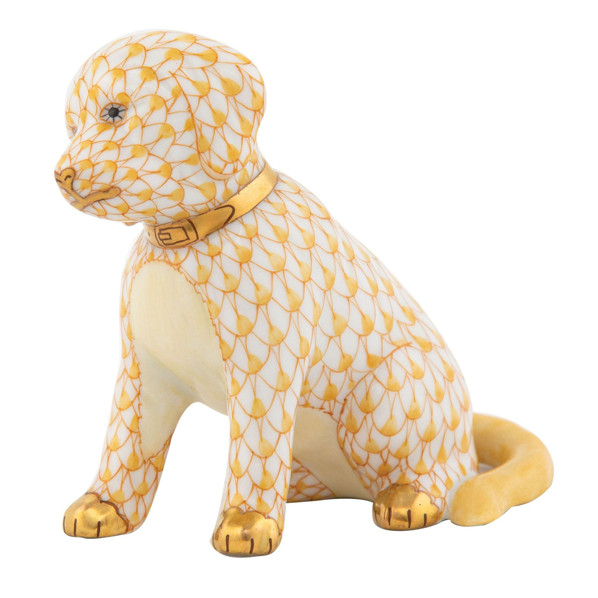 Good Dog — Butterscotch