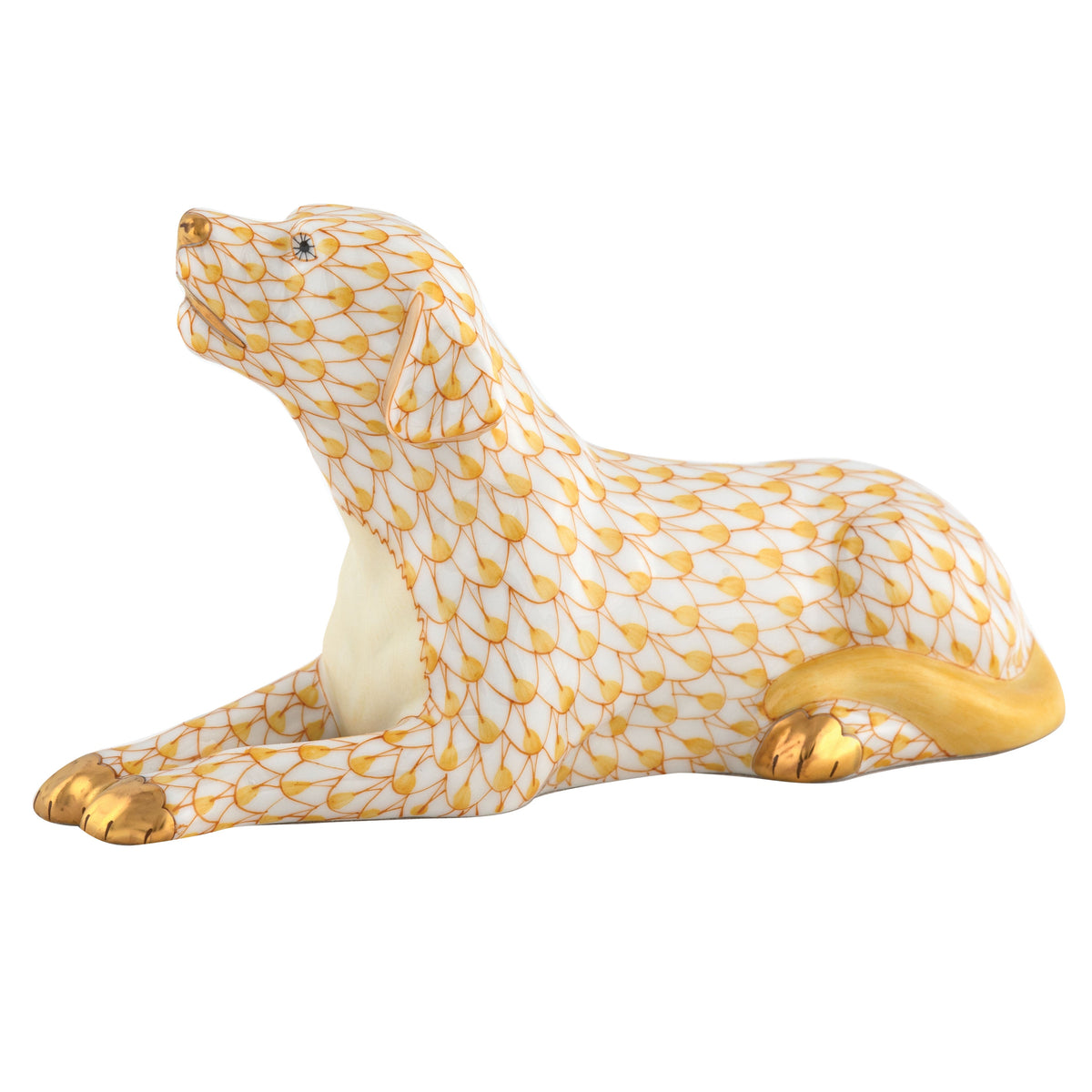 Singing Labrador — Butterscotch