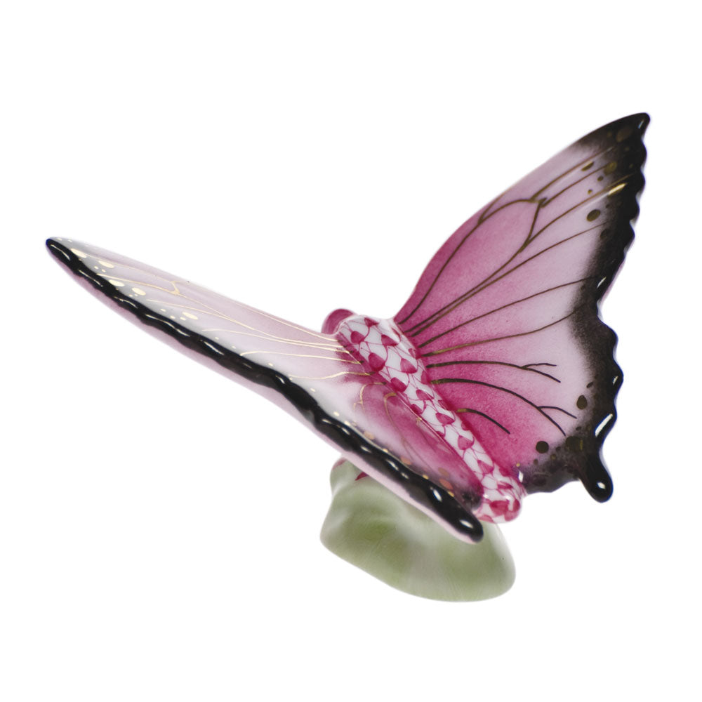 Butterfly — Raspberry