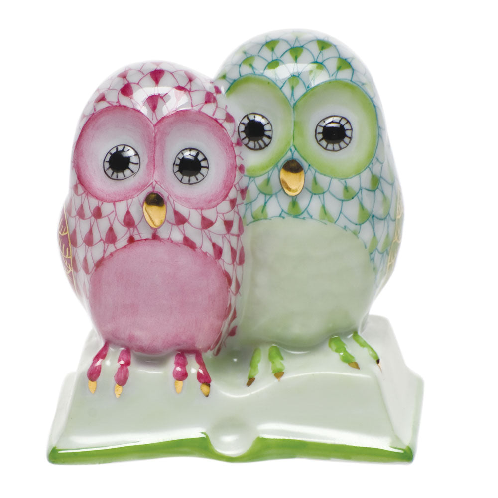 Pair of Owls On Book — Raspberry & Keylime