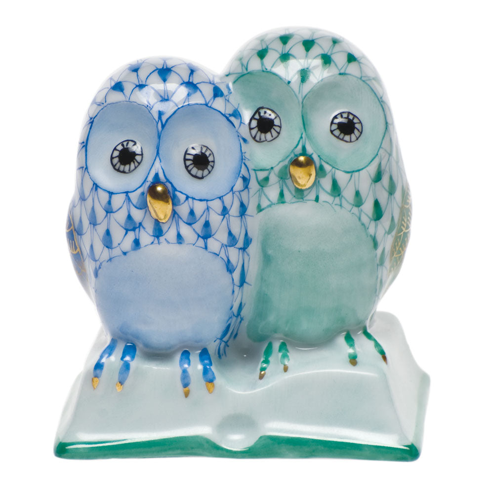 Pair of Owls On Book — Blue & Green