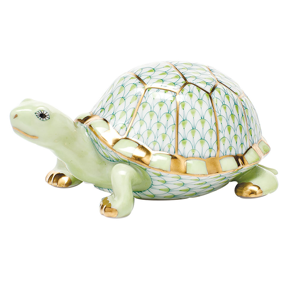 Small Box Turtle — Keylime