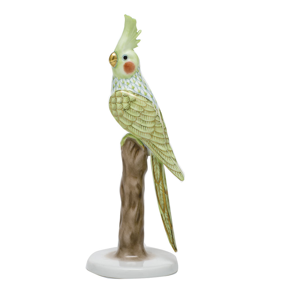 Cockatiel — Keylime