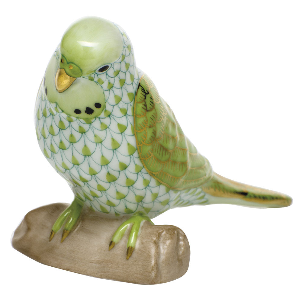 Parakeet — Keylime