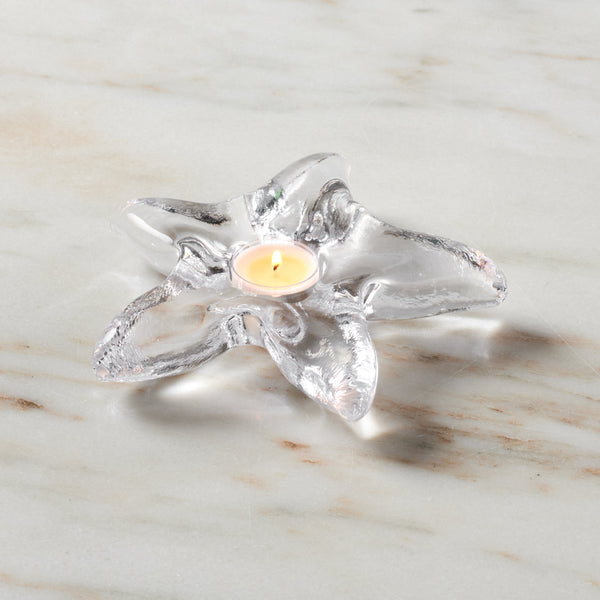 Starfish Tealight in Gift Box