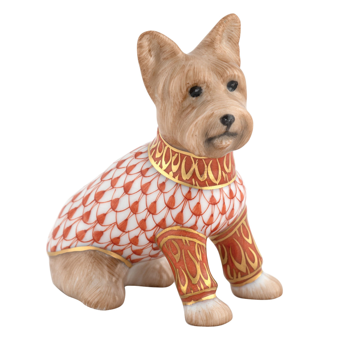 Yorkshire Terrier — Rust