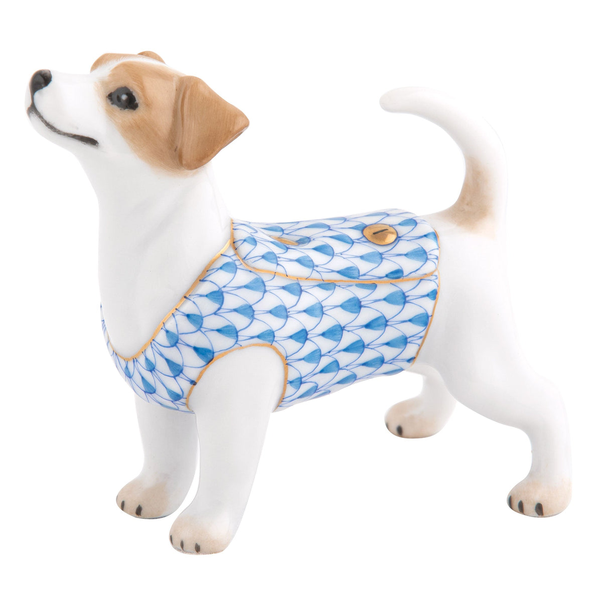 Jack Russell Terrier — Blue
