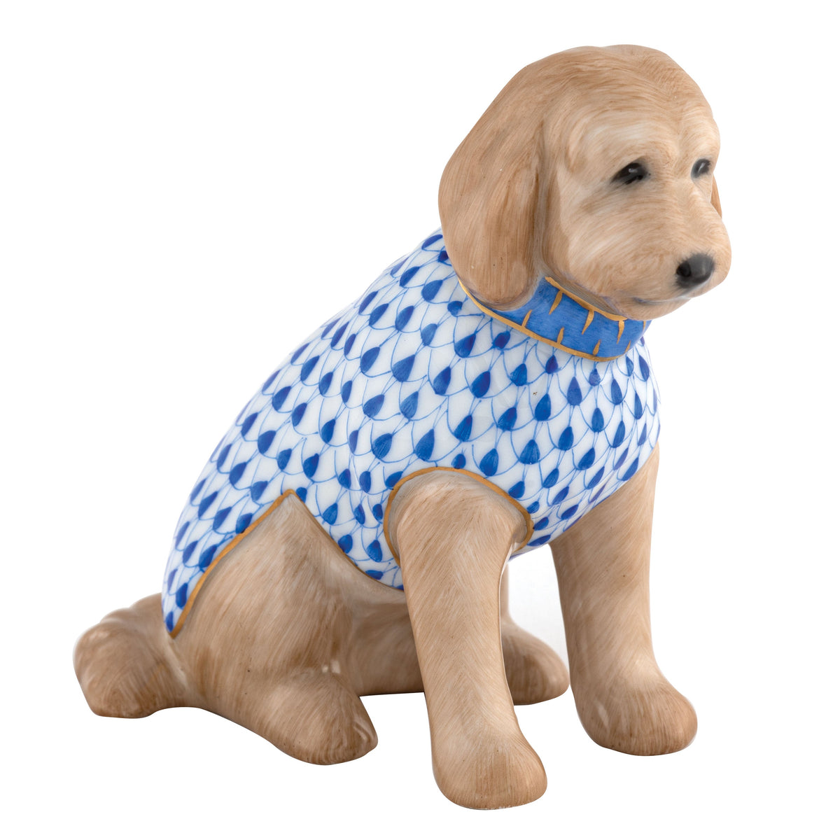 Labradoodle — Sapphire