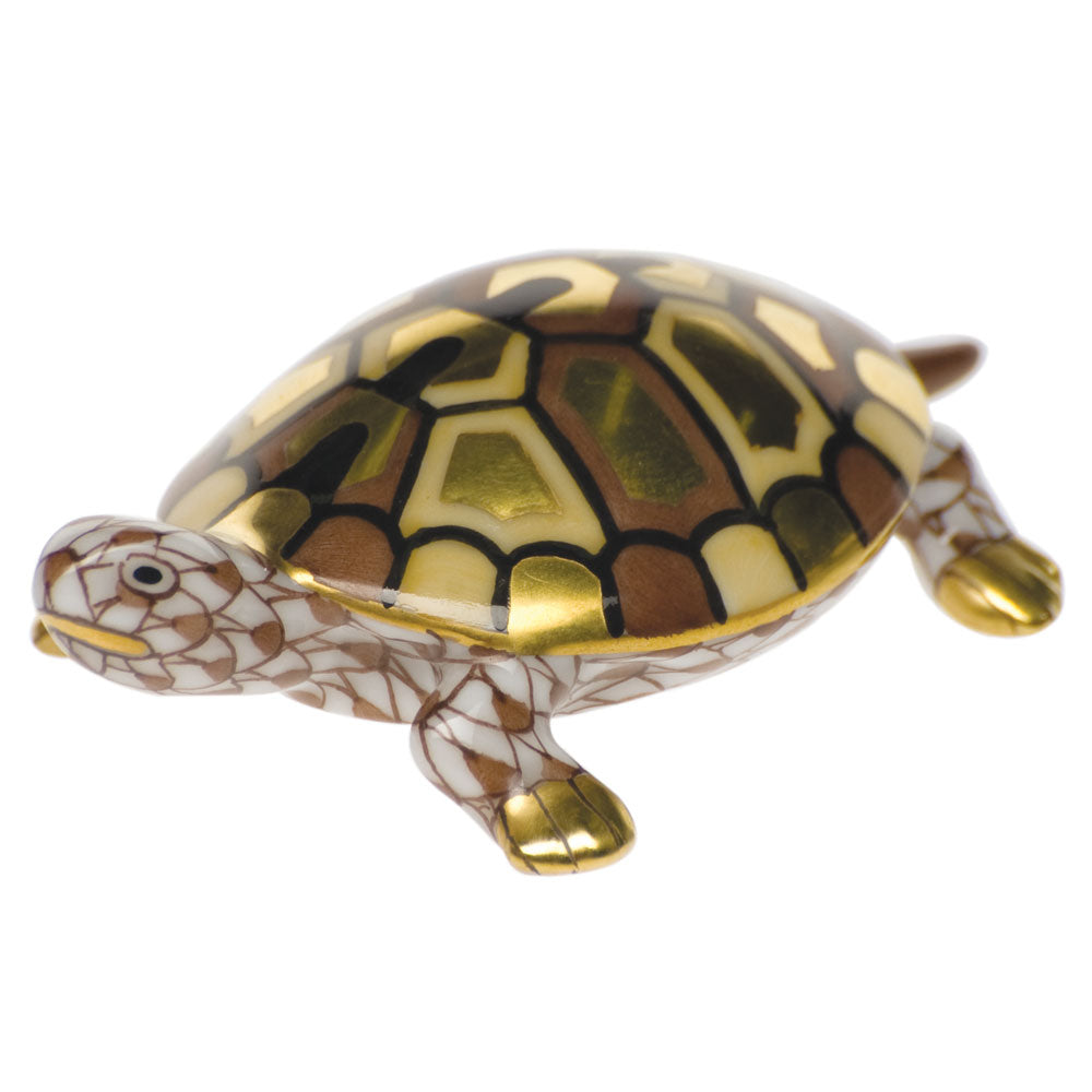 Baby Turtle — Chocolate