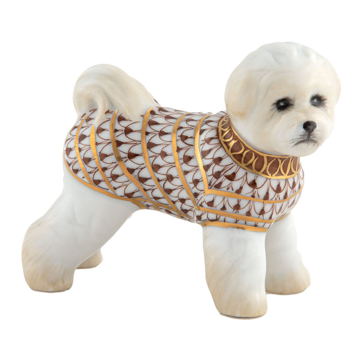 Bichon Frise — Chocolate