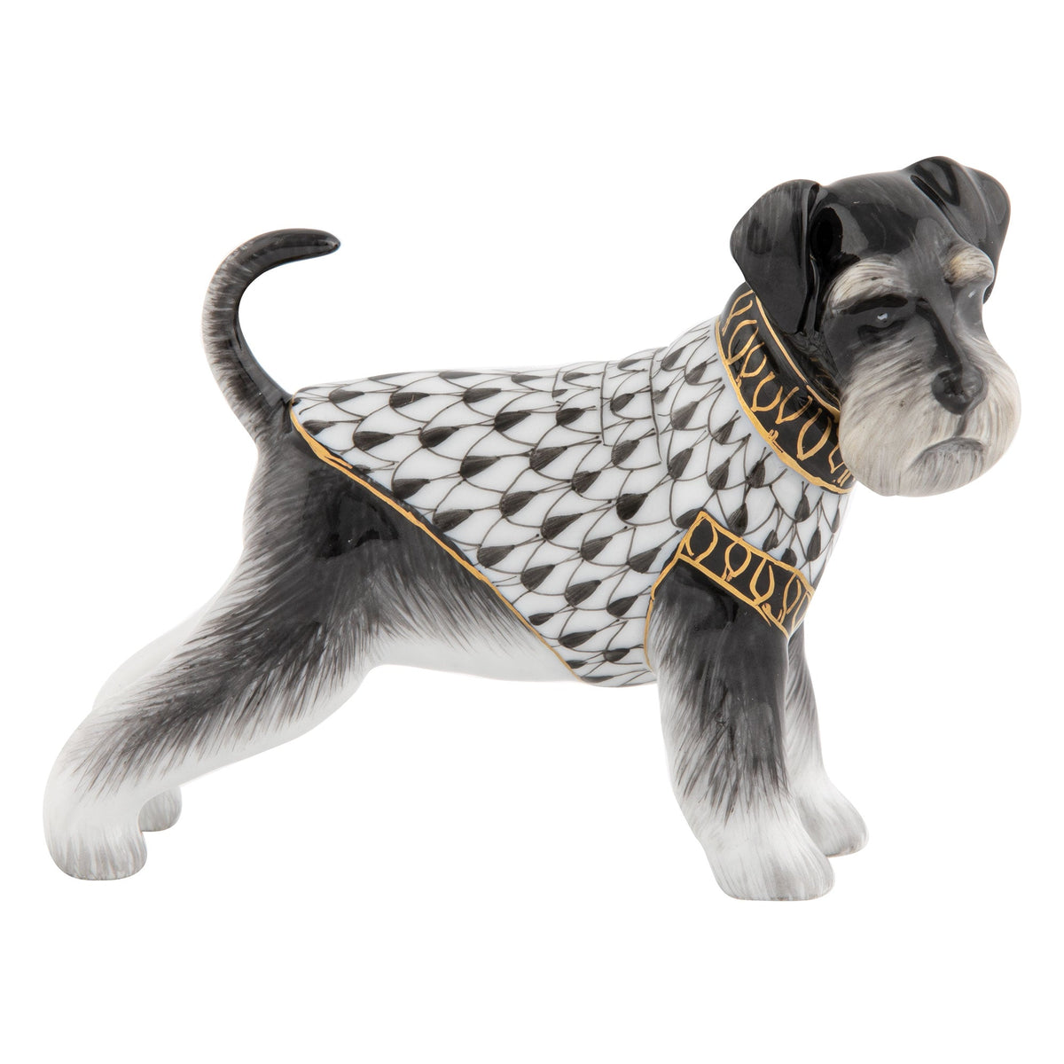 Schnauzer — Black