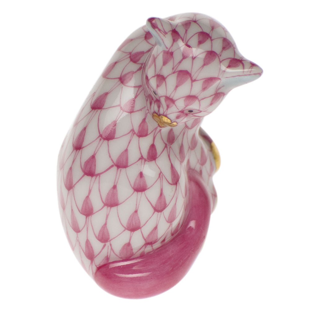 Miniature Cat — Raspberry