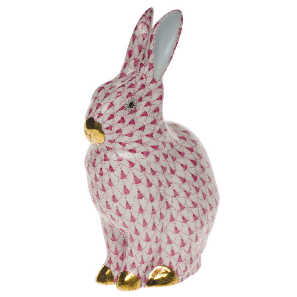 Rabbit — Raspberry