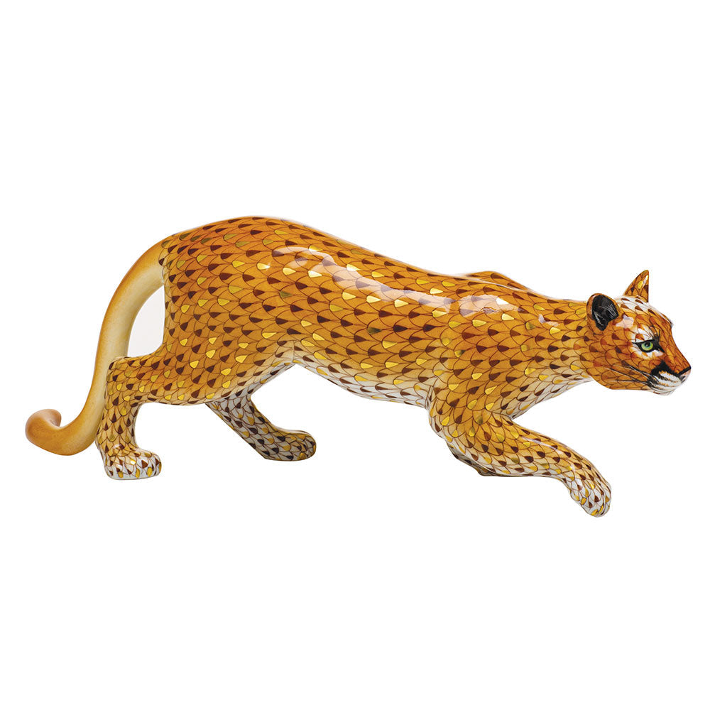 Mountain Lion — Multicolor