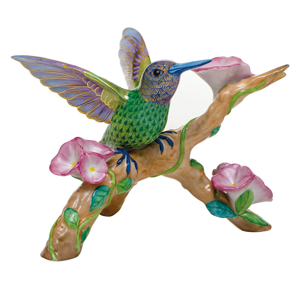 Hummingbird On Flowered Branch — Multicolor