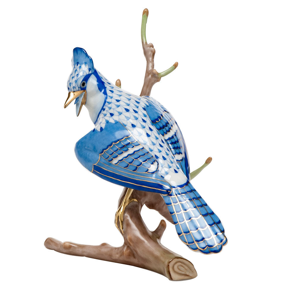 Blue Jay — Multicolor