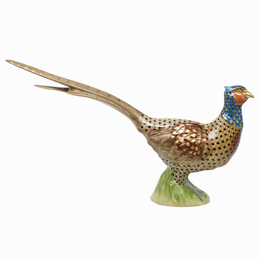 Flamboyant Pheasant — Multicolor