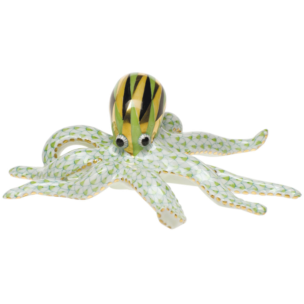 Octopus — Keylime