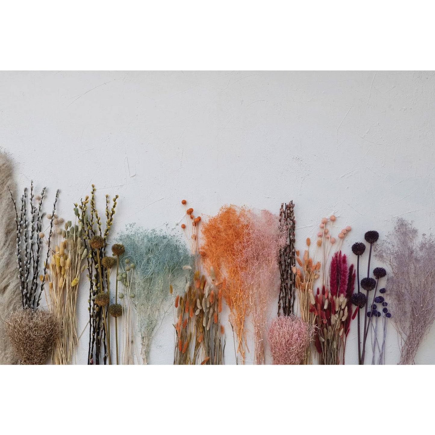 Dried Natural Baby's Breath Bunch, 4 Colors