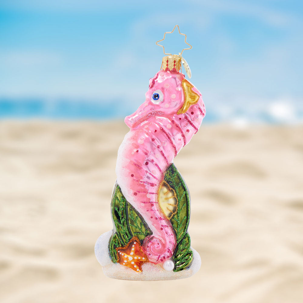 Sally Seahorse